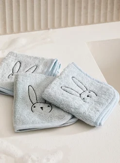 Adorable companion washcloths