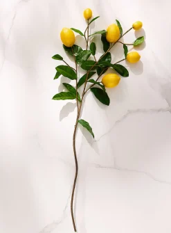 Artificial lemon tree branch