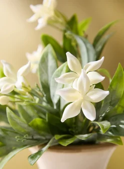 Artificial stephanotis branch