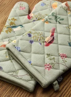 Colourful birds accessories