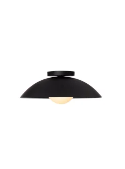 Danoise interior and exterior matte black light fixture