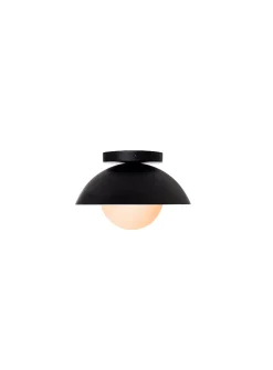 Danoise interior and exterior matte black light fixture