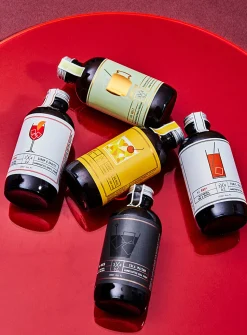 Deluxe cocktail syrup kit