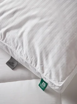 Divine down pillow