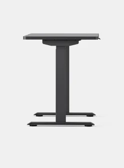 Duo standing desk