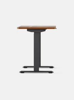 Duo standing desk