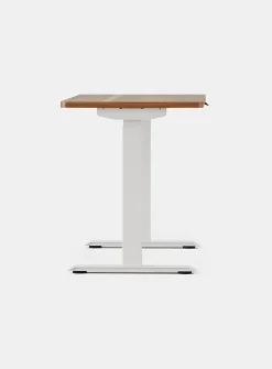 Duo standing desk