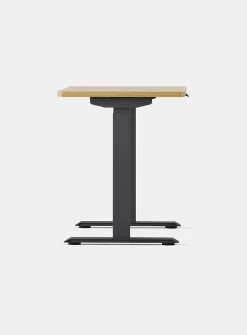Duo standing desk