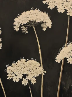 Fleur de minuit art print