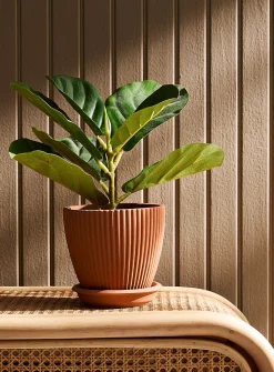 Grooved terracotta planter