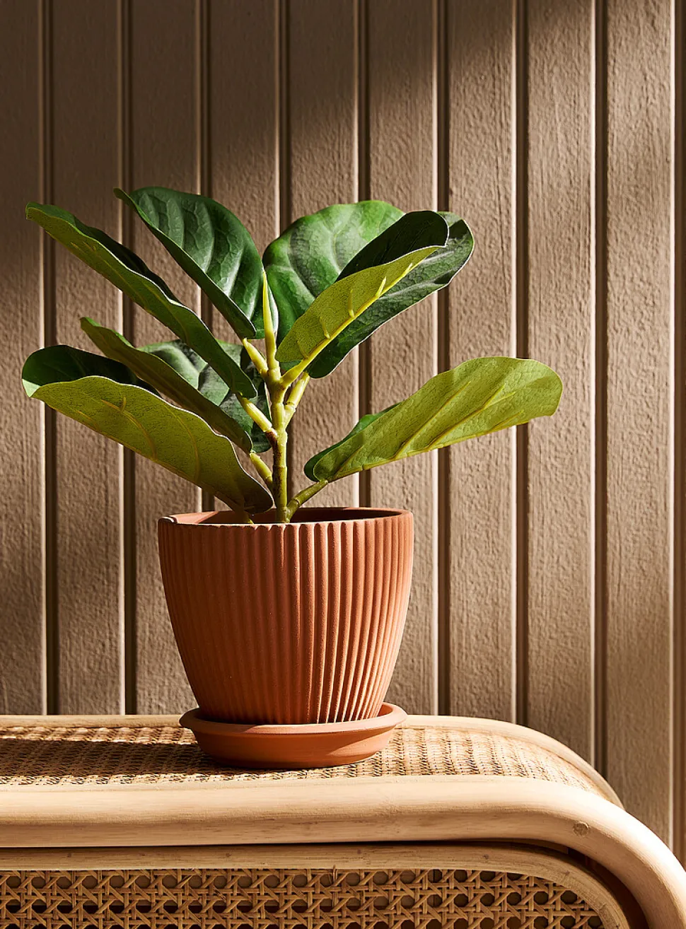 Grooved terracotta planter