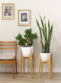 Maple plant stand