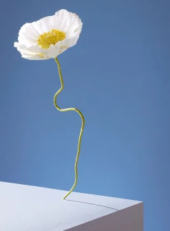 Paper Iceland poppy stem