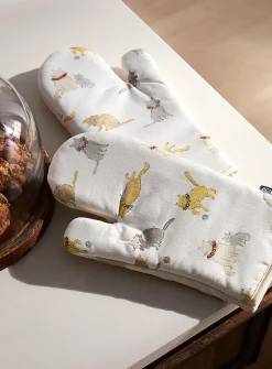 Playful kittens accessories