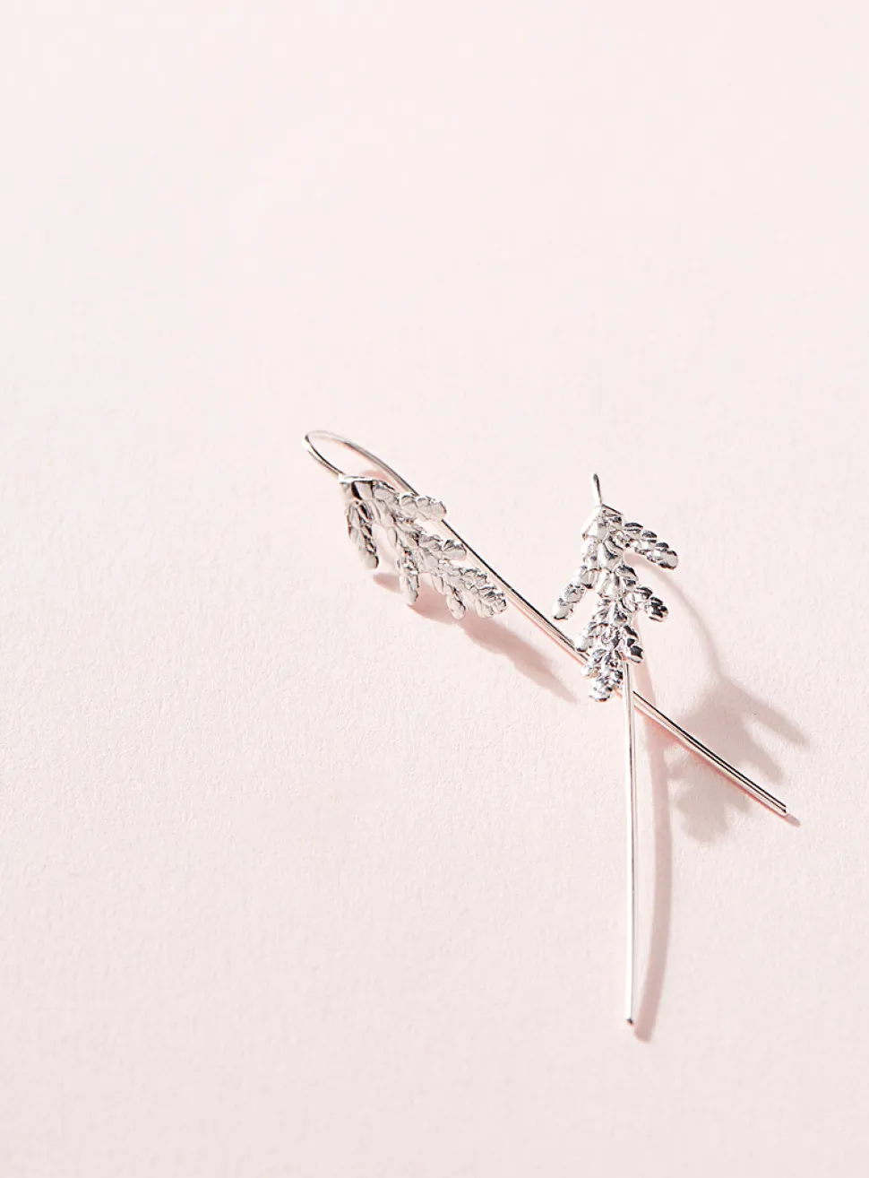 Thuja cedar long earrings